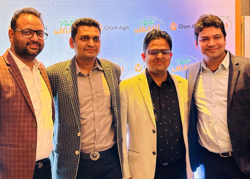 Pulses Exporters, Pulses Exporters in Delhi, Pulses Exporters in India