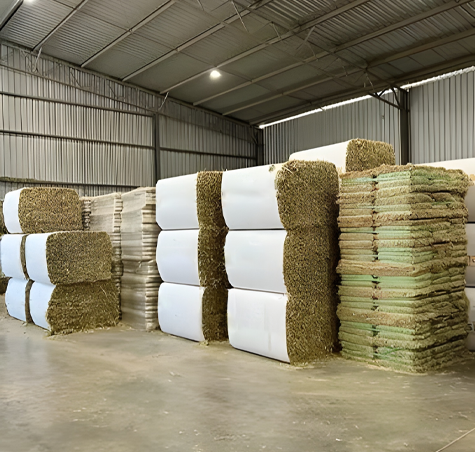 Rajma in Delhi, Rajma in India, Rajma Manufacturers