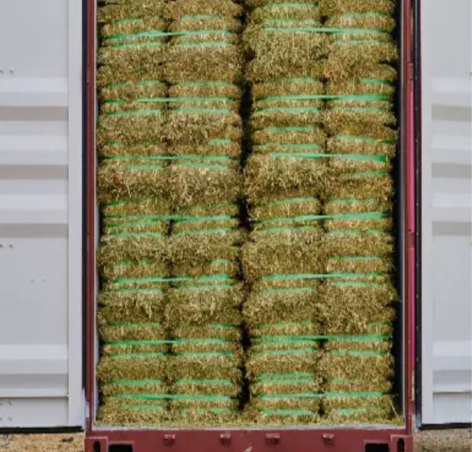 Rajma in Delhi, Rajma in India, Rajma Manufacturers