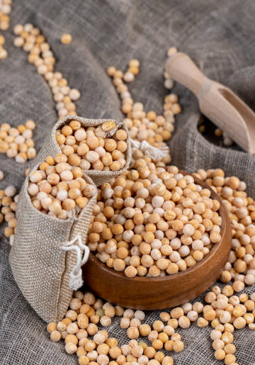 Pulses Manufacturers, Pulses Manufacturers in delhi, Pulses Manufacturers in India