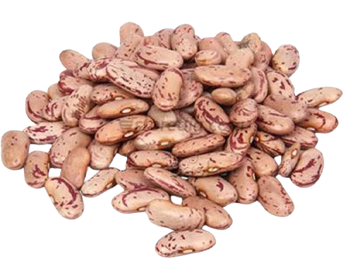 Pulses Manufacturers, Pulses Manufacturers in Delhi, Pulses Manufacturers in India