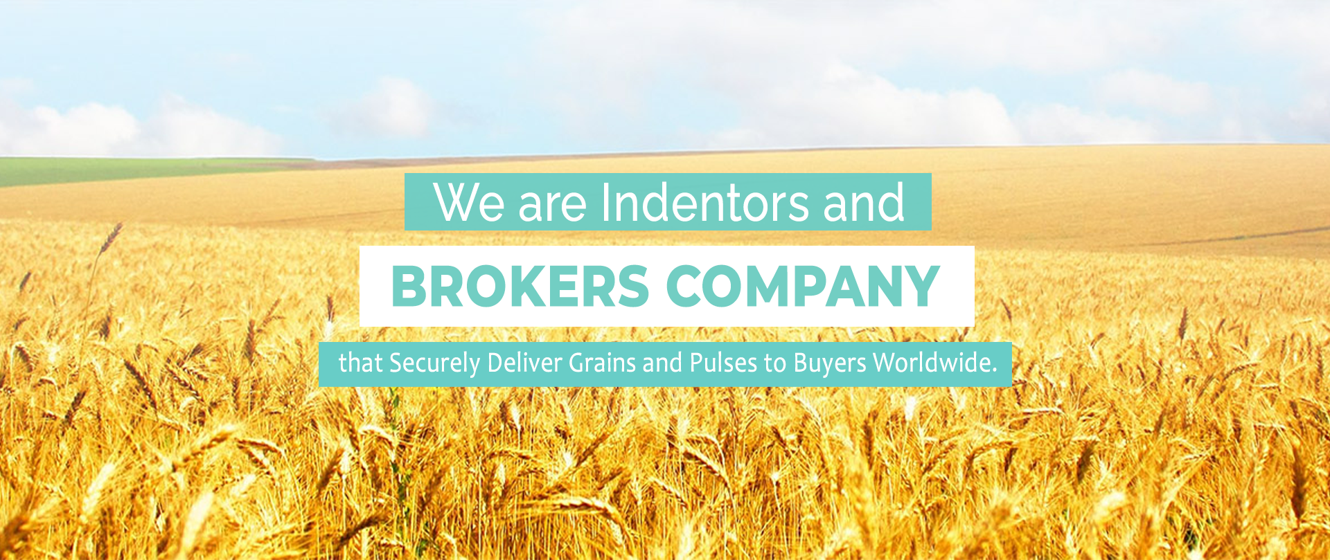 Pulses Manufacturers, Pulses Manufacturers in India