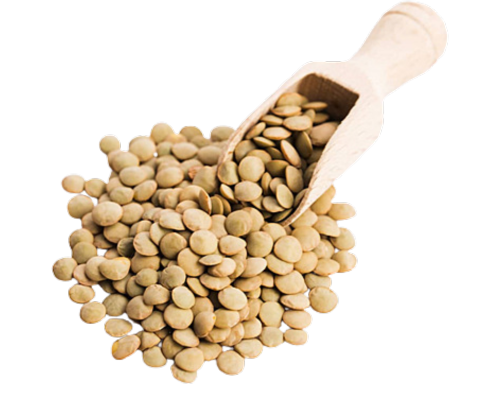 Green Lentil (Masoor)