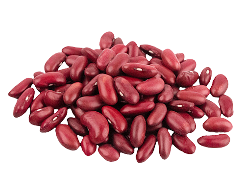 Kidney Beans (Rajma)