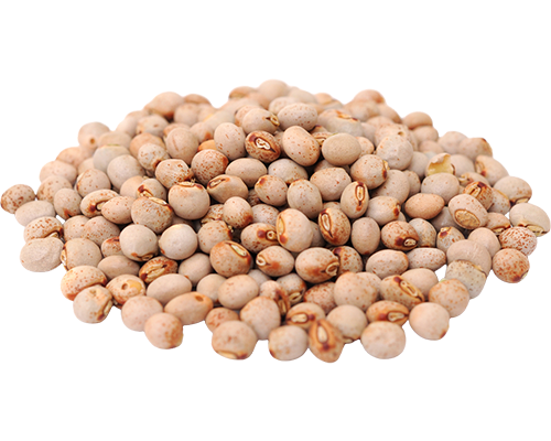 Pigeon Peas (Toor)