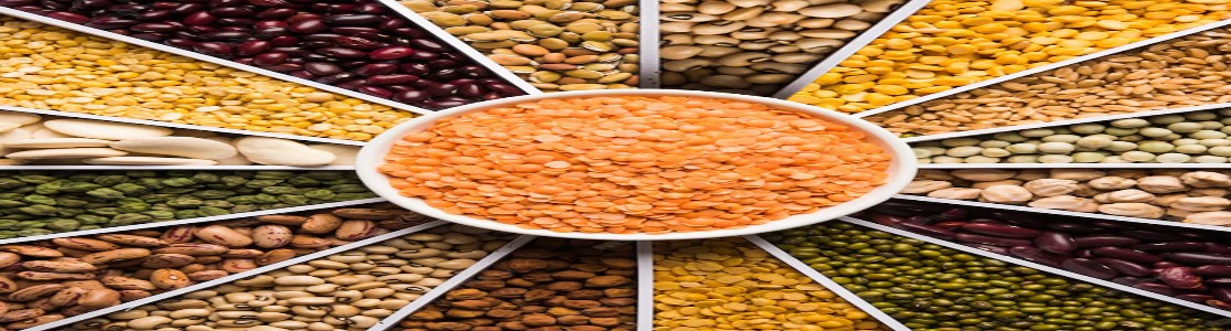 Pulses