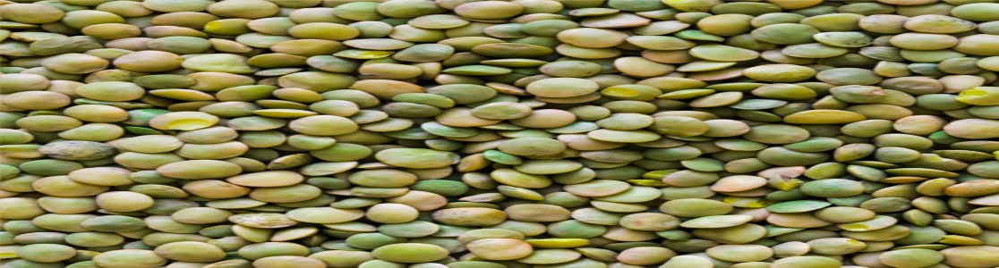 pulses
