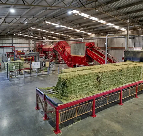 Best Pulses Indentors in India