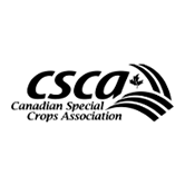 Urad Dal Manufacturers, Urad Dal Manufacturers in Delhi, Urad Dal Manufacturers in India