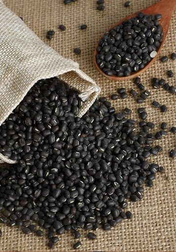 Pulses Suppliers, Pulses Suppliers in Delhi, Pulses Suppliers in India