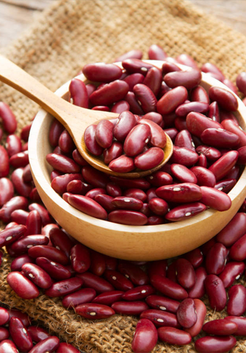 Rajma Chitra Suppliers, Rajma Chitra Suppliers in Delhi, Rajma Chitra Suppliers in India