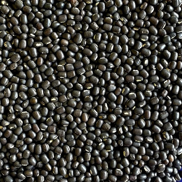 Reliable Growindia Pulses Supplier & Exporter in India