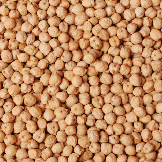 Growindia Pulses – Premium Chana Dal Supplier India
