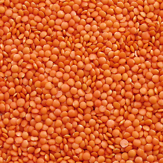 Proper Packaging of Growindia Pulses – Bulk Supplier India