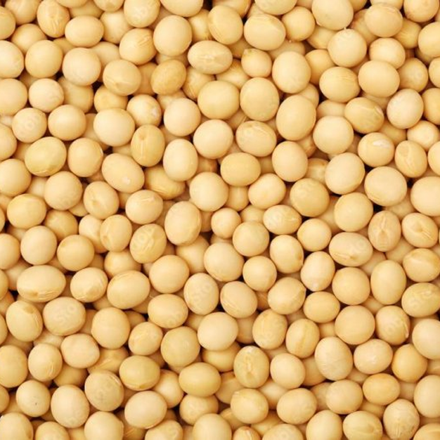 Timely Delivery of Growindia Pulses – Bulk Supplier India