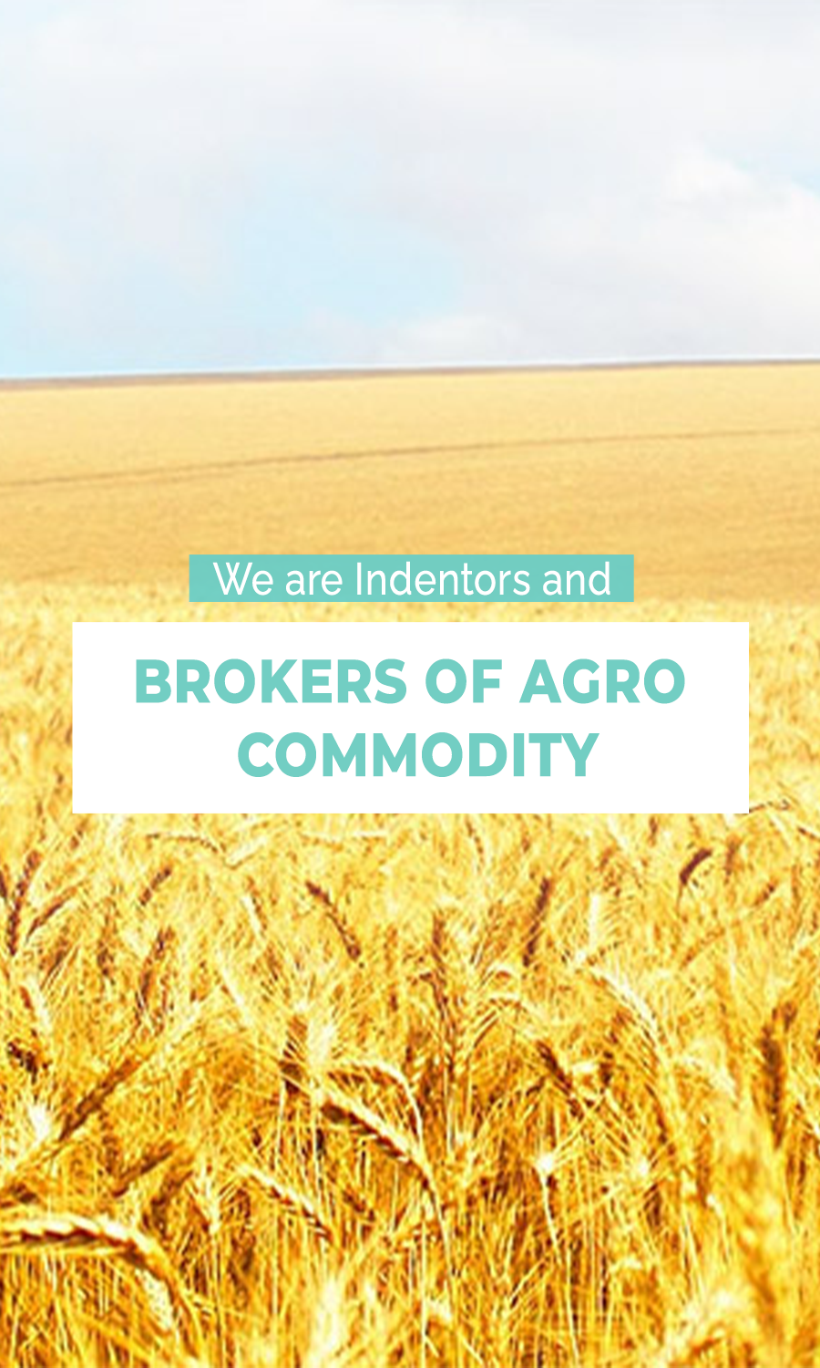 Pulses Manufacturers, Pulses Manufacturers in India